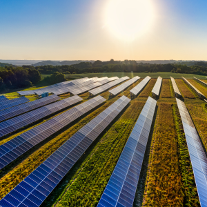 Namnlös (1000 x 1510 px) (2) Namnlös (1000 x 1510 px) (2)