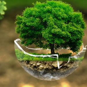 Skärmbild 2024-05-27 192836 Skärmbild 2024-05-27 192836